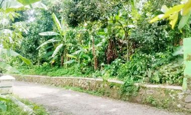 Jual Tanah 3.270 m2 di Karoncong Pandeglang Banten Dekat Kantor Desa Setrajaya