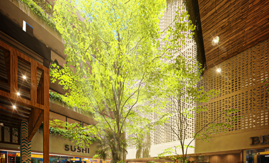 ¡Invierte en tu Futuro! Preventa de Estudios Amueblados en el Corazón de Playa del Carmen 🌊🏖️