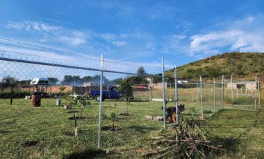 Terreno en venta muy cerca de Tala