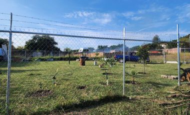 Terreno en venta muy cerca de Tala