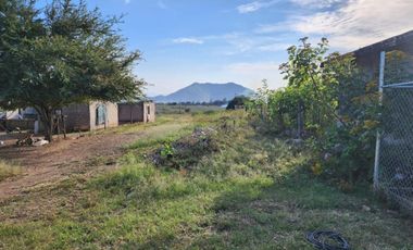 Terreno en venta muy cerca de Tala