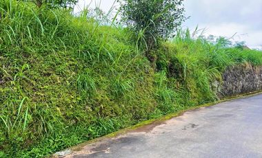 Dijual Tanah Dekat Telaga Madirda Kemuning