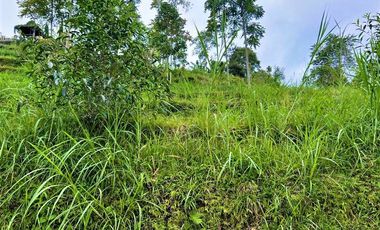 Dijual Tanah Dekat Telaga Madirda Kemuning