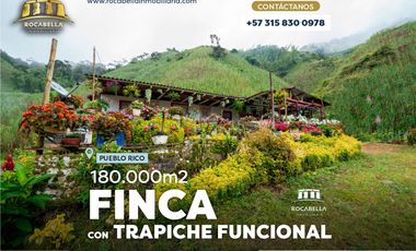 Finca en Pueblo Rico con Trapiche funcional