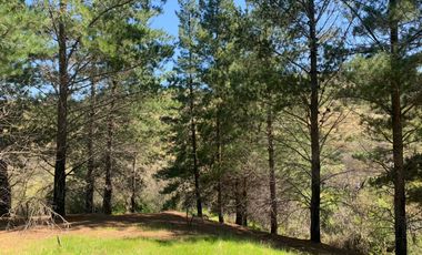 Se vende 2.34 ha, sector Pan de Azúcar,comuna de San Javier