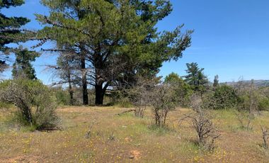 Se vende 2.34 ha, sector Pan de Azúcar,comuna de San Javier