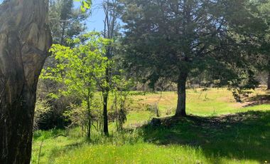 Se vende 2.34 ha, sector Pan de Azúcar,comuna de San Javier