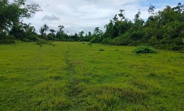 Bohol farm lot for sale 3.7hectares clean title along the river in Sagbayan Bohol 5M negotiable