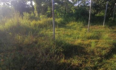 1.6 Hectares Farm Lot for Sale located in Brgy. Binagbag, Angat, Bulacan near DRT