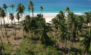 Beachfront Property For Sale in Palawan