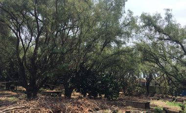 Magnifico terreno industrial y comercial en Iztapalapa