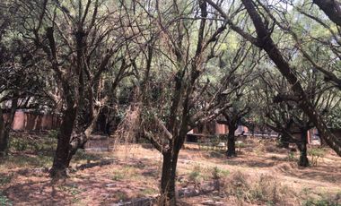 Magnifico terreno industrial y comercial en Iztapalapa