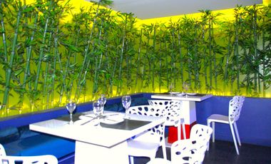 ARRIENDA PROPIEDAD COMERCIAL ART DECO EN BARRIO BELLAVISTA, PROVIDENCIA (ANTONIA LOPEZ DE BELLO)