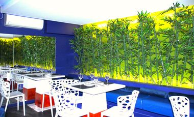 ARRIENDA PROPIEDAD COMERCIAL ART DECO EN BARRIO BELLAVISTA, PROVIDENCIA (ANTONIA LOPEZ DE BELLO)