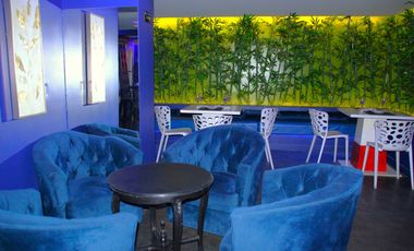 ARRIENDA PROPIEDAD COMERCIAL ART DECO EN BARRIO BELLAVISTA, PROVIDENCIA (ANTONIA LOPEZ DE BELLO)