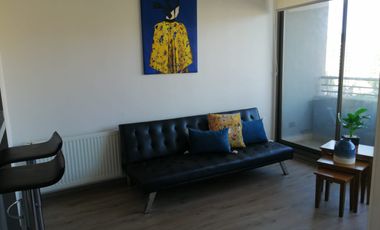 Hermoso Depto Amoblado en el Centro de Concepcion