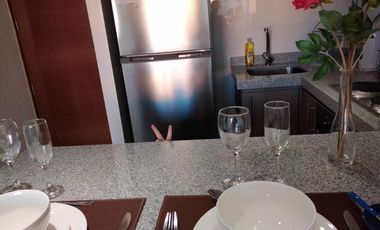 Hermoso Depto Amoblado en el Centro de Concepcion