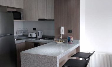 Hermoso Depto Amoblado en el Centro de Concepcion