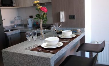 Hermoso Depto Amoblado en el Centro de Concepcion