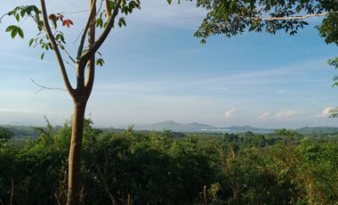 53 Rai Stunning mountain and sea view land for sale in Phang Nga