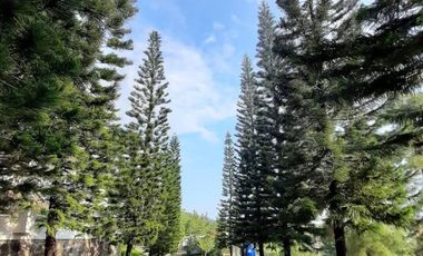 Tanah Komersil Pinggir Jalan Raya Di Kawasan Sentul City Bogor