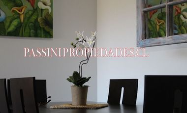 Departamento céntrico Pucón *1018