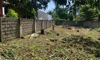 🏡 Prime Lot in Dumaguete City - Ideal for Residential or Commercial Use 🏢