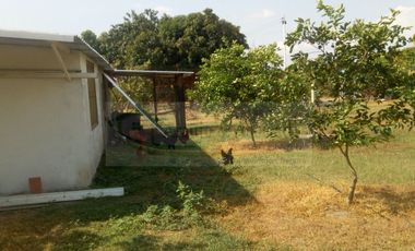 VENDEMOS FINCA EN LA VEREDA TARQUI DEL MUNICIPIO DE FLANDES.