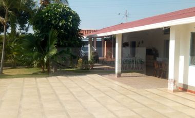 VENDEMOS FINCA EN LA VEREDA TARQUI DEL MUNICIPIO DE FLANDES.