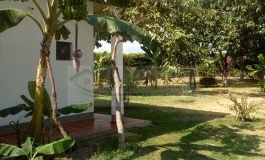 VENDEMOS FINCA EN LA VEREDA TARQUI DEL MUNICIPIO DE FLANDES.