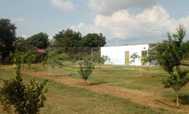 VENDEMOS FINCA EN LA VEREDA TARQUI DEL MUNICIPIO DE FLANDES.