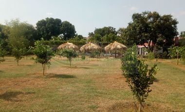 VENDEMOS FINCA EN LA VEREDA TARQUI DEL MUNICIPIO DE FLANDES.