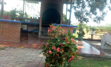 VENDEMOS FINCA EN LA VEREDA TARQUI DEL MUNICIPIO DE FLANDES.