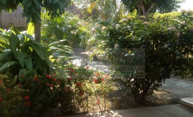 VENDEMOS FINCA EN LA VEREDA TARQUI DEL MUNICIPIO DE FLANDES.