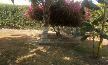 VENDEMOS FINCA EN LA VEREDA TARQUI DEL MUNICIPIO DE FLANDES.