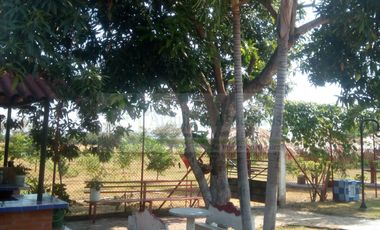 VENDEMOS FINCA EN LA VEREDA TARQUI DEL MUNICIPIO DE FLANDES.