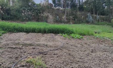 Terreno en venta sector Ricaurte