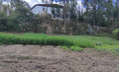 Terreno en venta sector Ricaurte