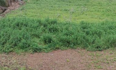Terreno en venta sector Ricaurte