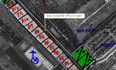 Land sale start 1rai, 533KB, can pay in installments, Along the Ping River,Wiang Nong Long District, Lamphun