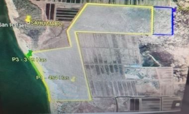 Terreno en venta de 454 Hectáreas, Playa Sashuimaro, Sonora Mexico.