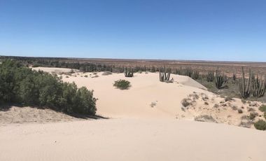 Terreno en venta de 454 Hectáreas, Playa Sashuimaro, Sonora Mexico.