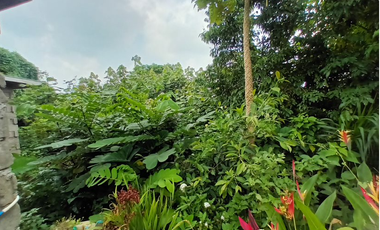Lot 9,Psu-213378 Along Provincial  Brgy Matipok Calaca Batangas