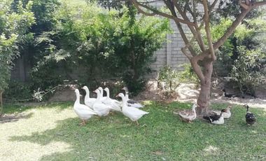 VENTA LOTES DE CAMPO EN CONDOMINIO-ASIA