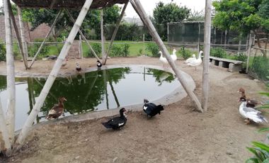 VENTA LOTES DE CAMPO EN CONDOMINIO-ASIA