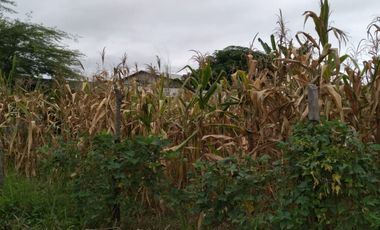 terreno de venta en san Vicente Manabí