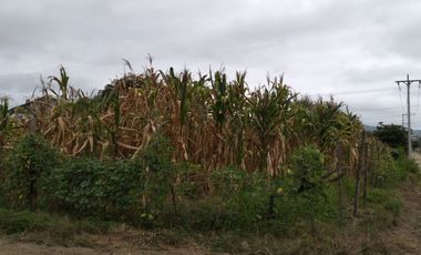 terreno de venta en san Vicente Manabí
