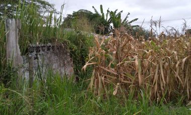 terreno de venta en san Vicente Manabí