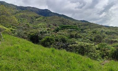 Se vende hermosa Finca de 55 hectáreas Municipio de Tesalia-Departamento del huila,vereda el centro a 5 km del casco urbano