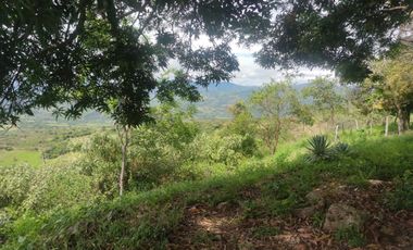 Se vende hermosa Finca de 55 hectáreas Municipio de Tesalia-Departamento del huila,vereda el centro a 5 km del casco urbano